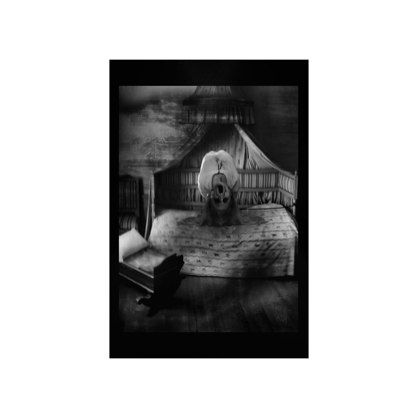 SOUL ON FIRE Premium Matte Vertical Posters