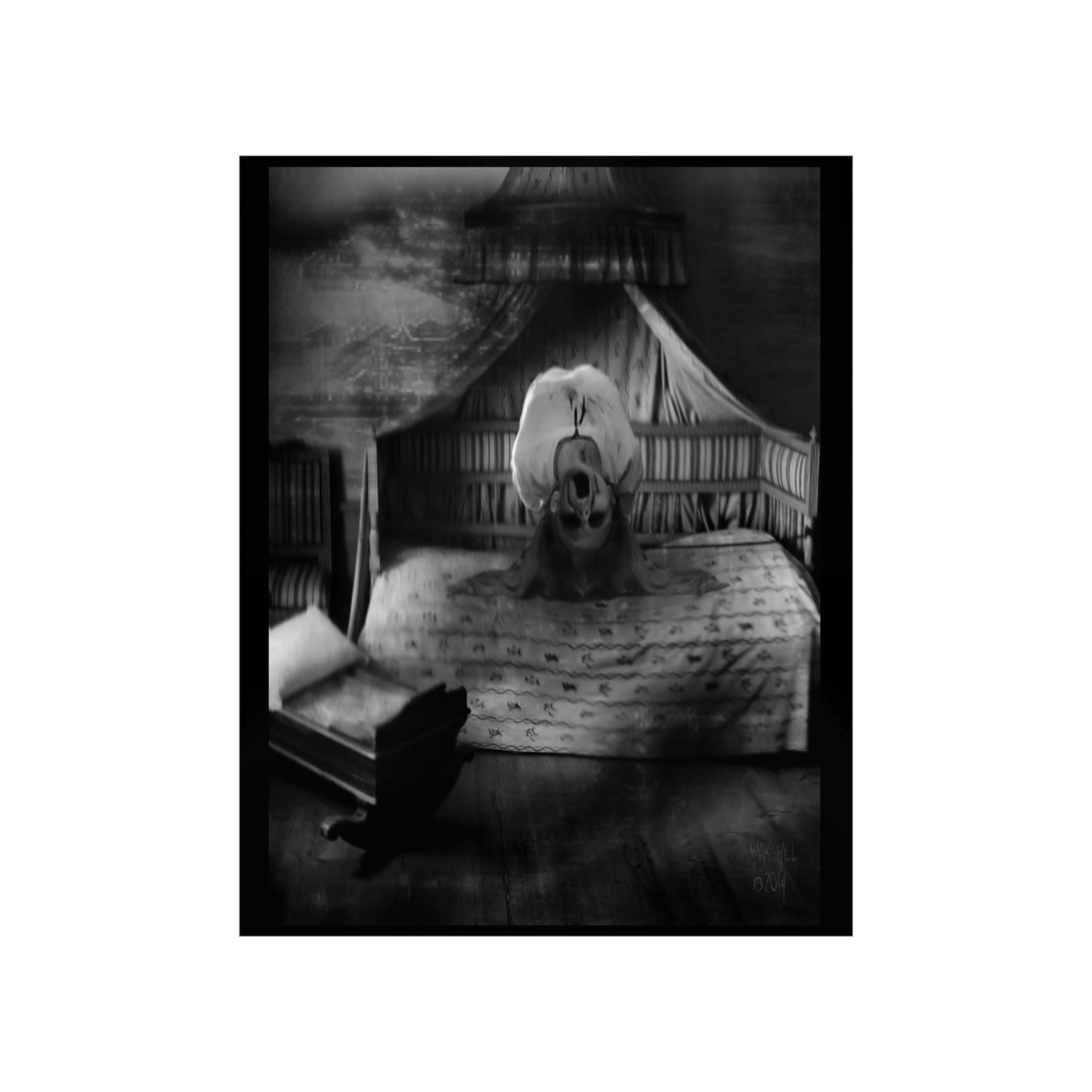 SOUL ON FIRE Premium Matte Vertical Posters