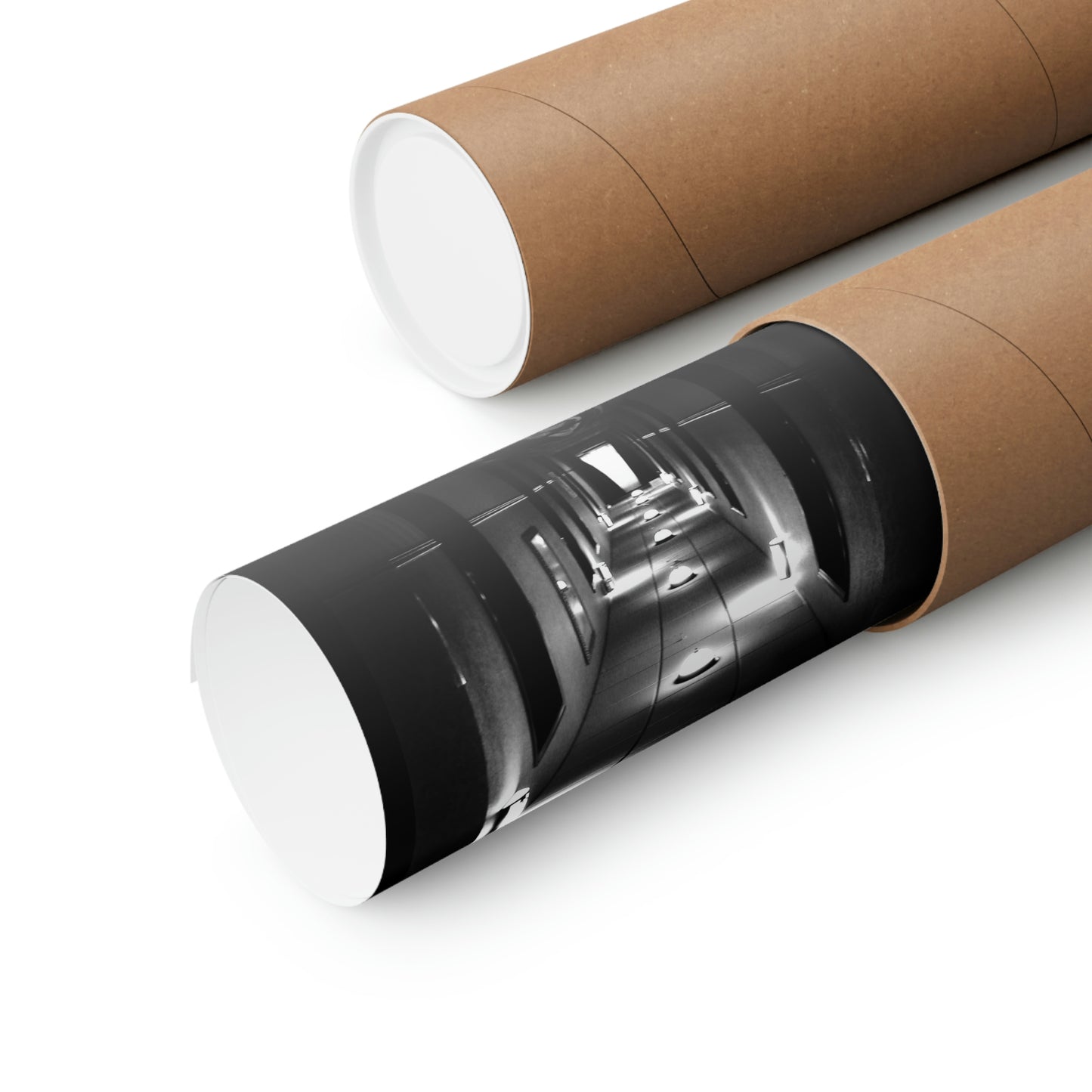 INSANUS Premium Matte Vertical Posters