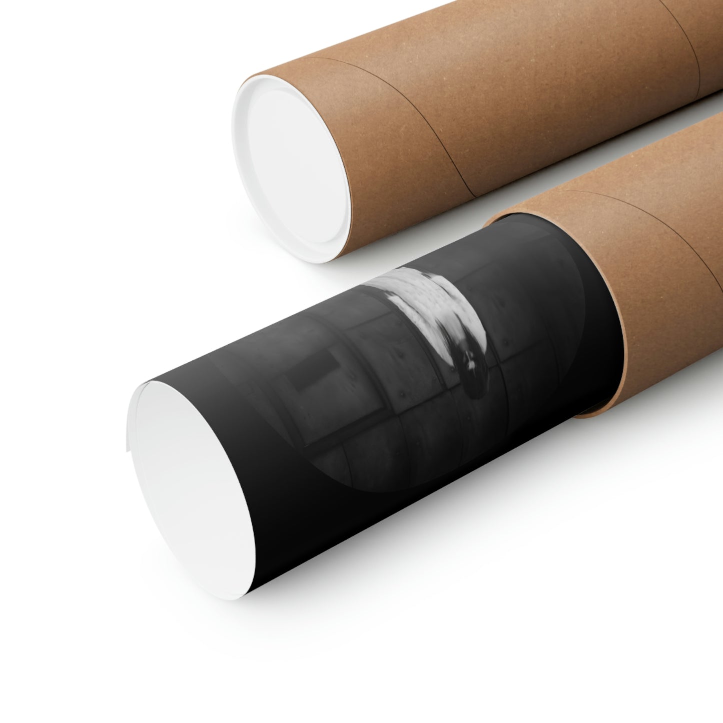 PADDED HOME Premium Matte Vertical Posters
